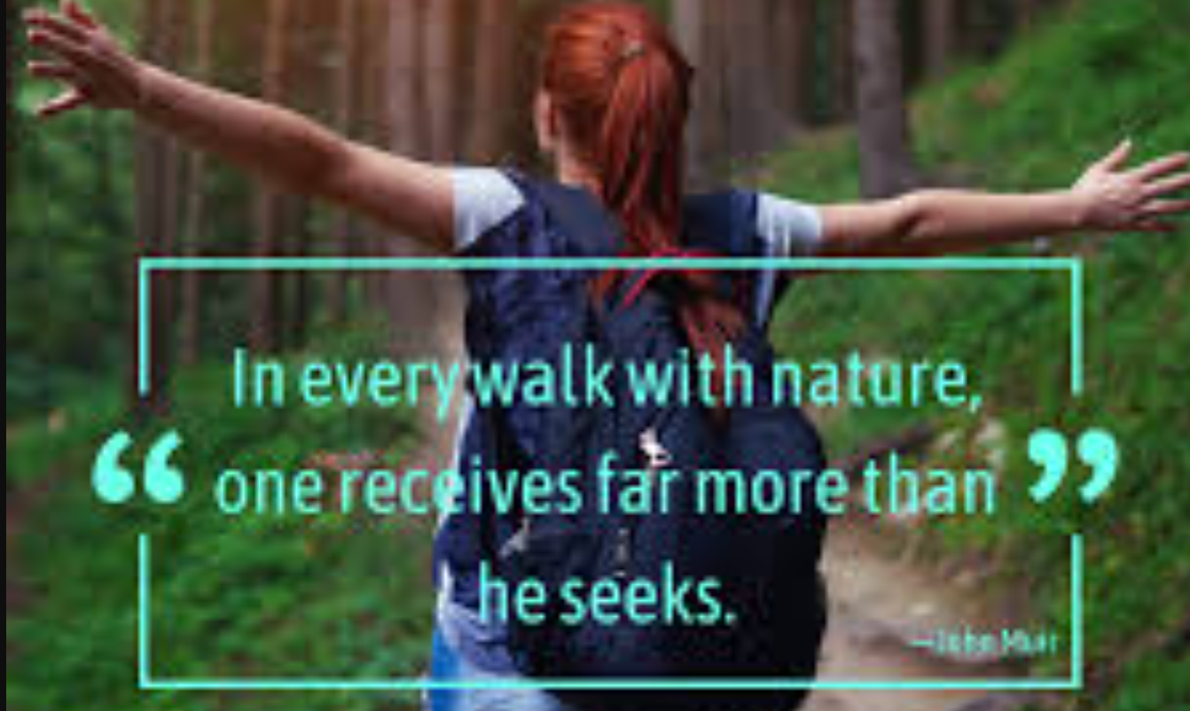 An image of the quote for morning walk